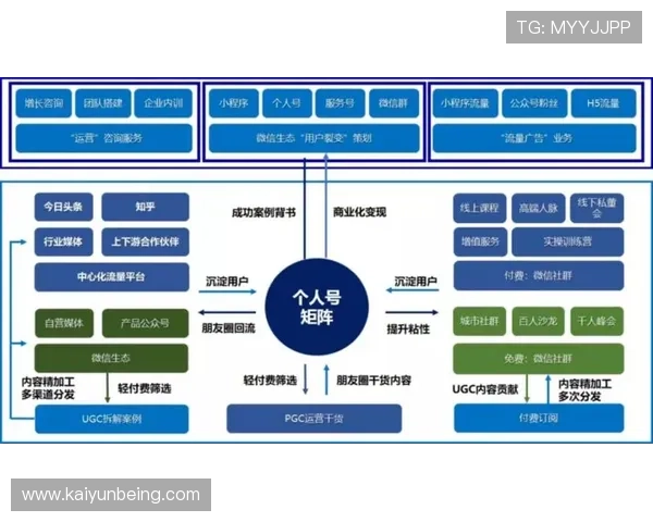解析开云旗下品牌的营销策略与品牌价值
